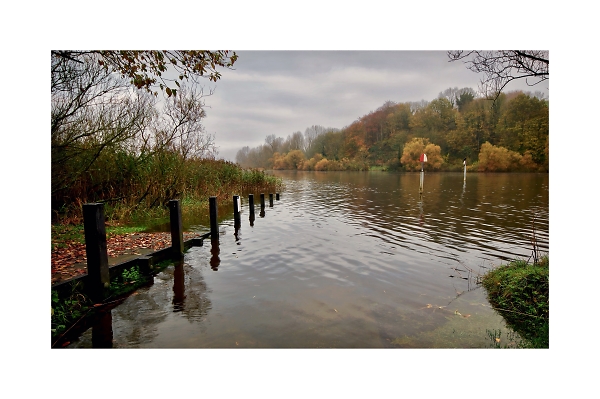 Autumnal Colours