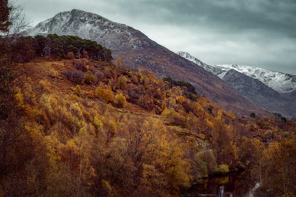 Fabulous Affric