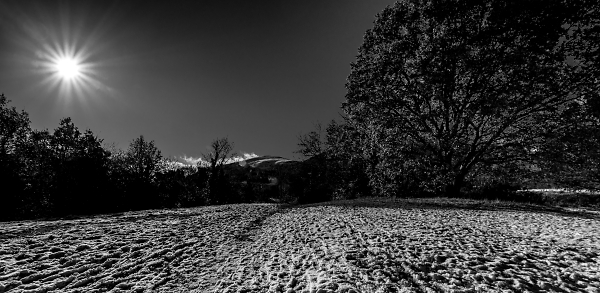 Starbust and Snow