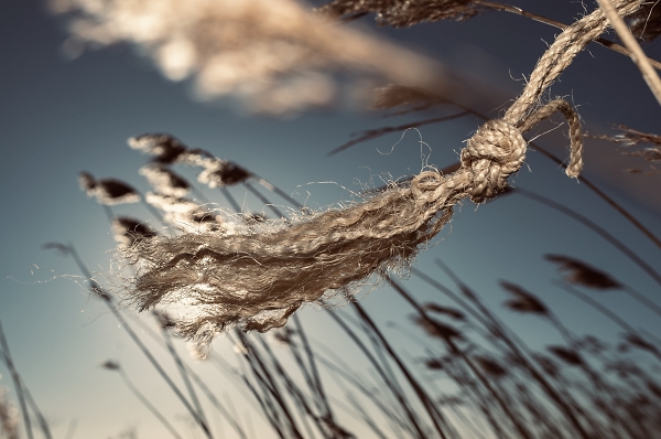 Wind