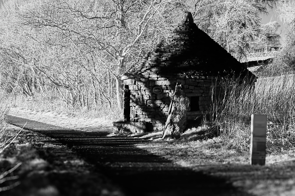 Hut on the Trail