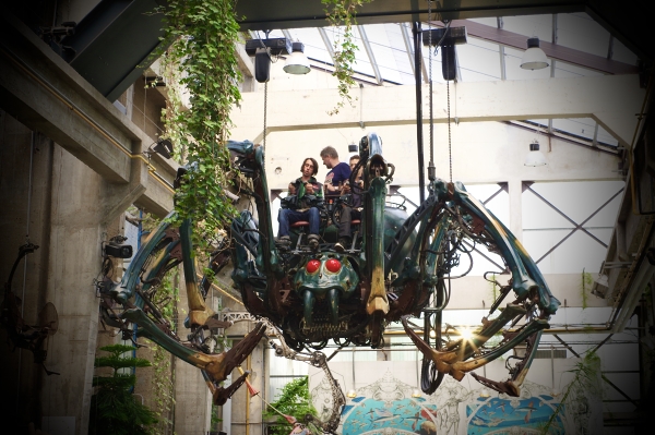 Riding a spider