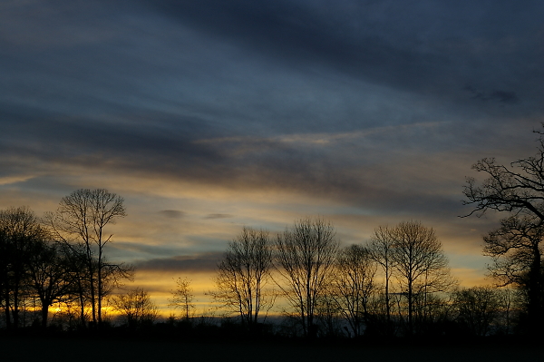 Wintry morning sunrise