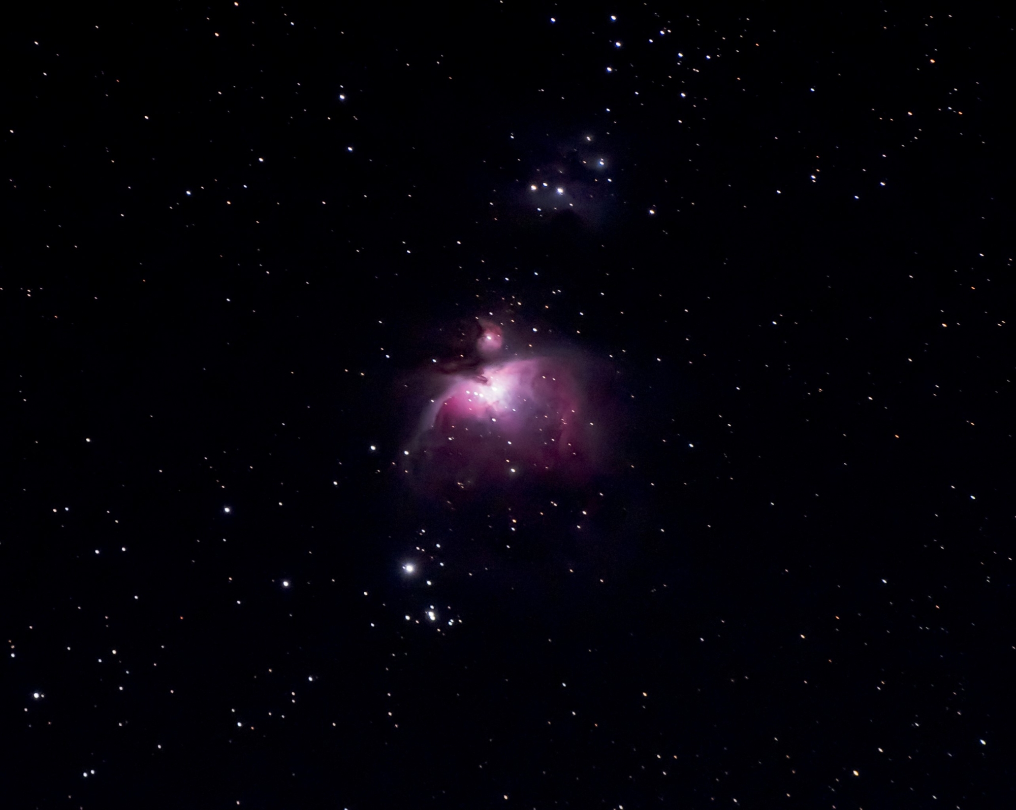 Orion Nebula