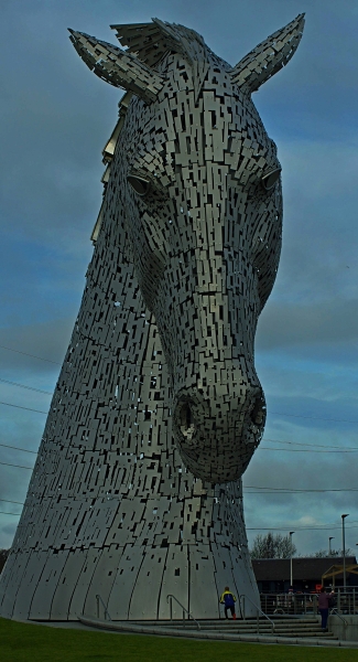 A   Scottish horse