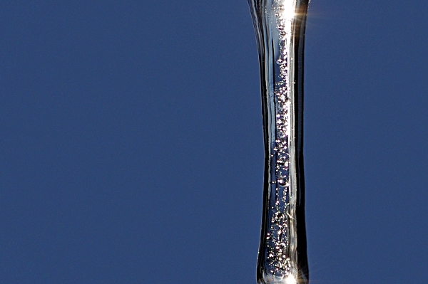 Icy icicle