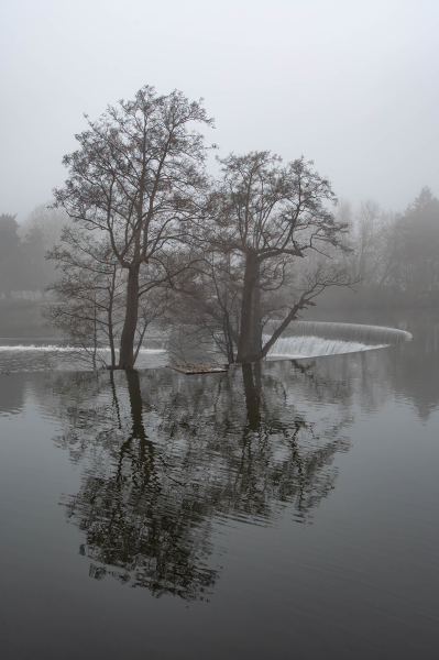 Mist at the Horseshoe Weir, Belper