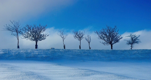 No Golf Today