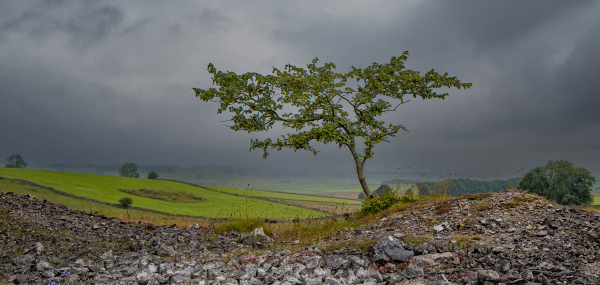 Rain on the way