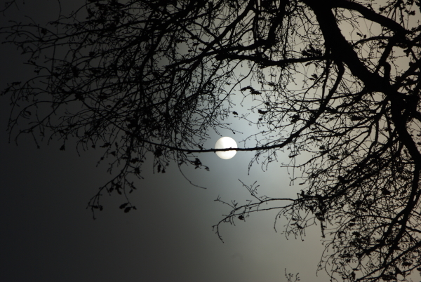 Sun through fog