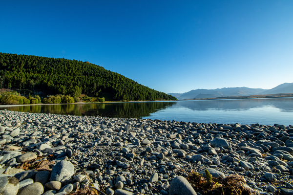 Tekapo Morning