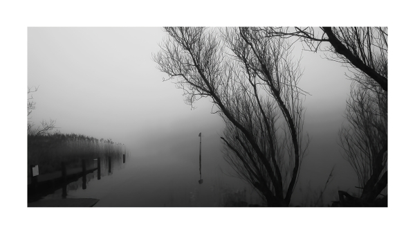 Very misty morning