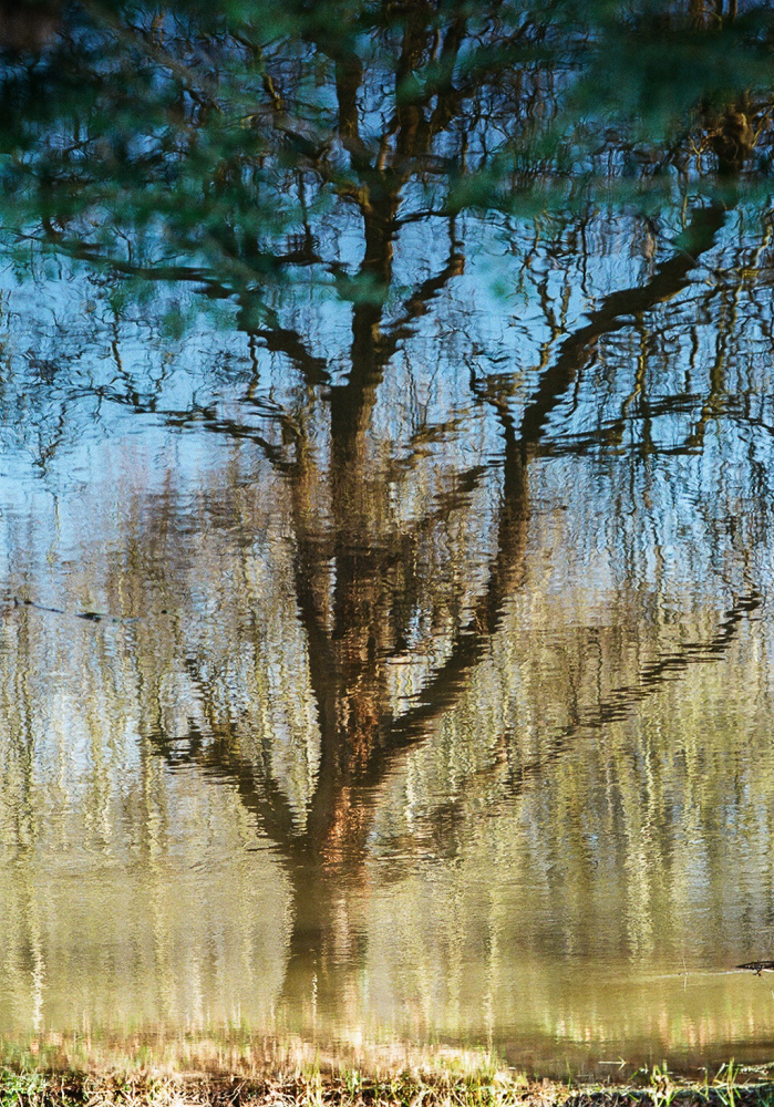 Reflections