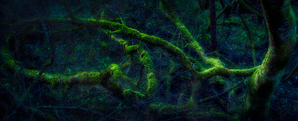 Deep Spooky Entanglement