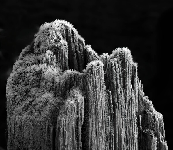 Frost