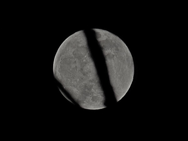 Full Moon hiding behind  a tree branch
