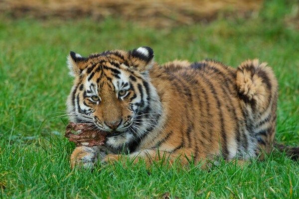 Its my Breakfast!!