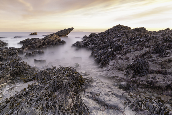 Low Tide