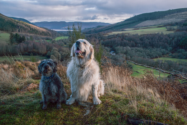 Ma Dugs