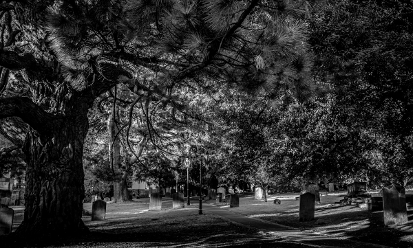 Mono Churchyard
