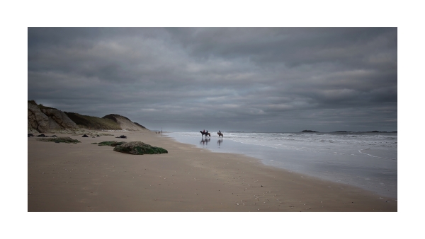 One from  this mornings walk