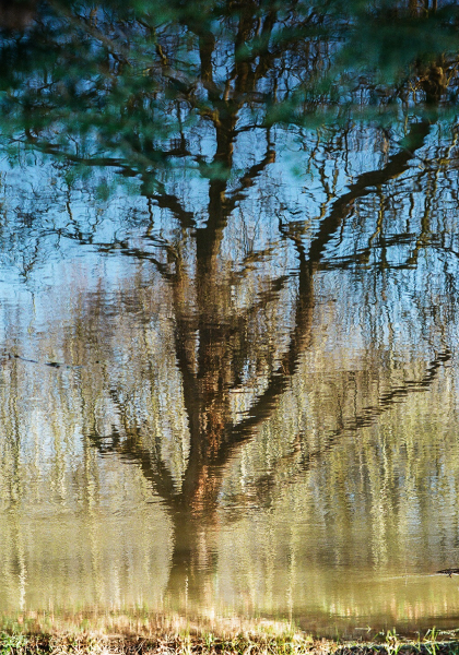 Reflections