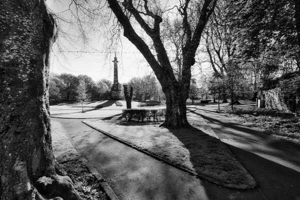 Spring Morning