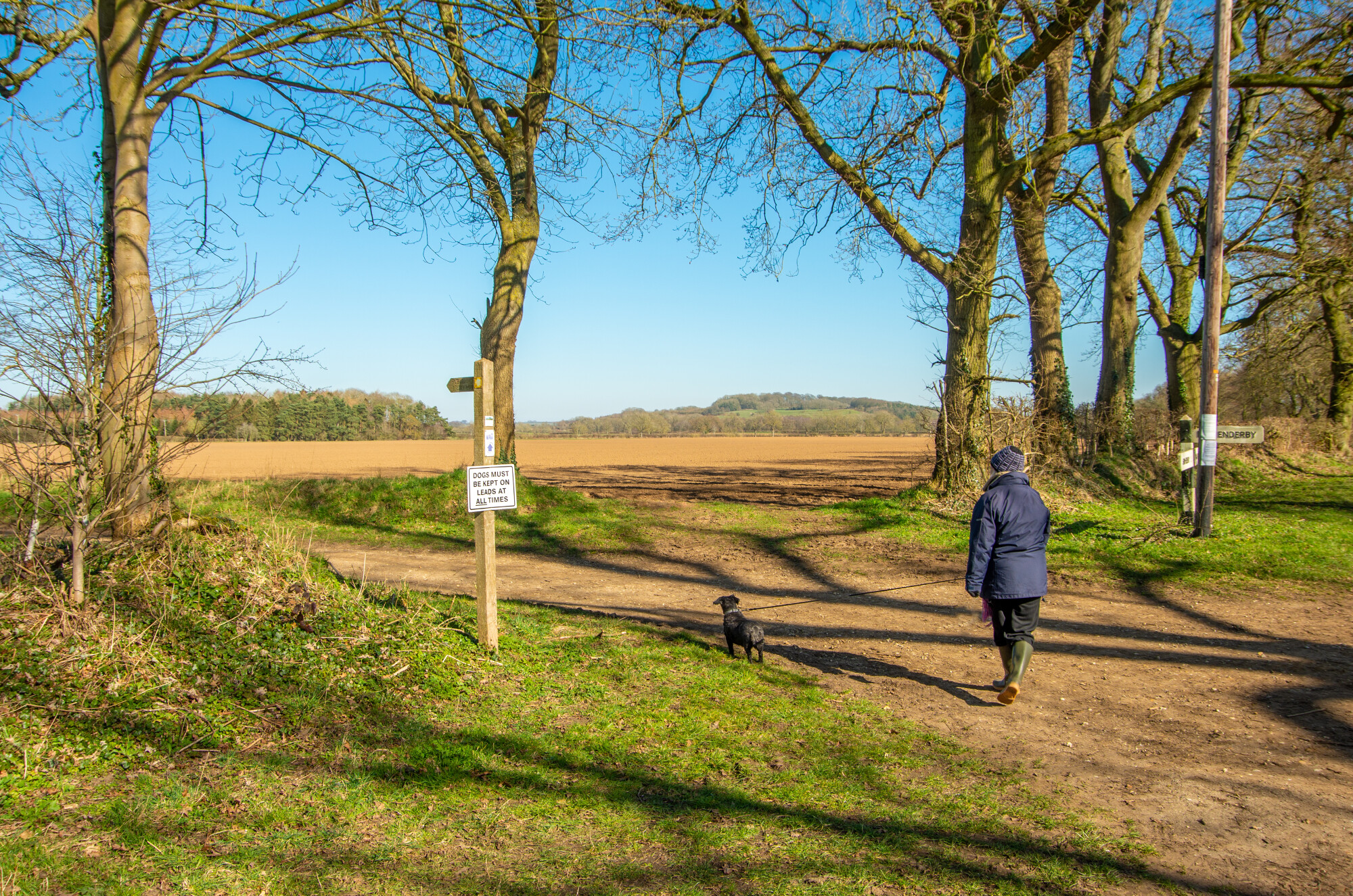 A walk in the Lincolnshire Wolds
