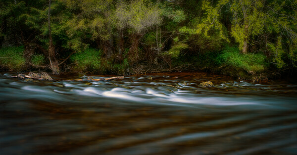 Along The Riverbank