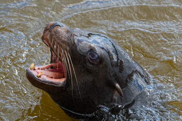 Feed me!!!