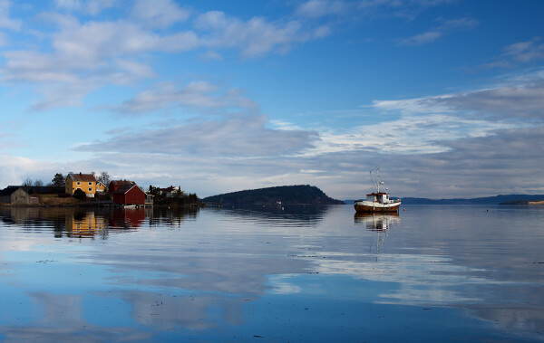Fjord Scene II