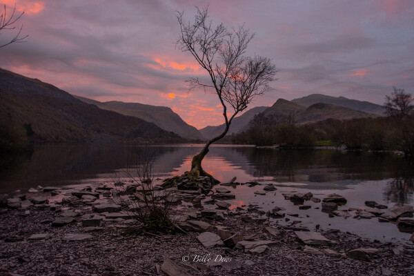 Just has to be done , 1st Light this morning , no one else there was a bonus