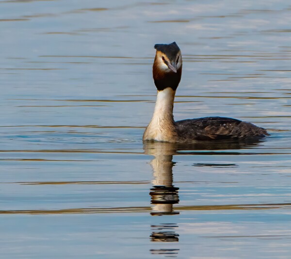 Linford Lakes