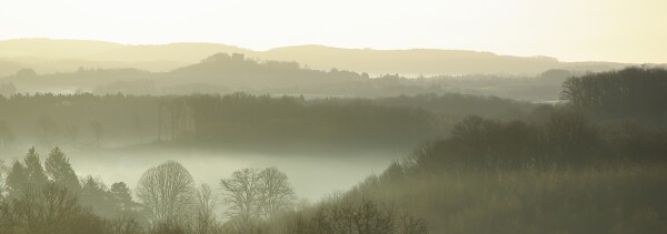 Misty morning