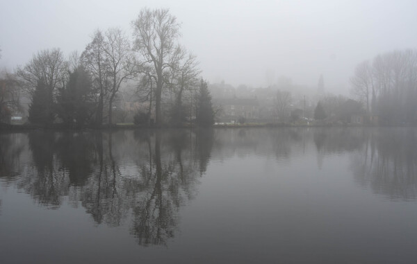 Misty Morning