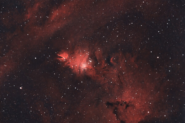 NGC2264
