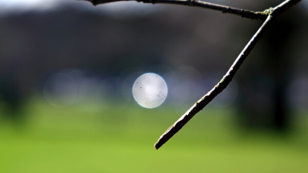 Playing with a 75mm Trioplan