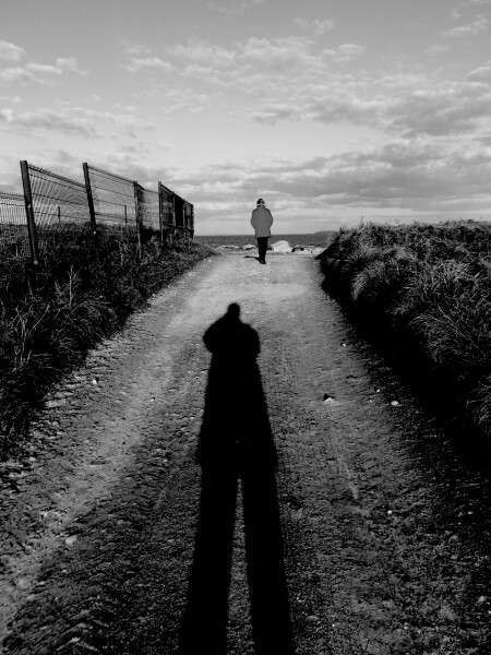 Shadow 2