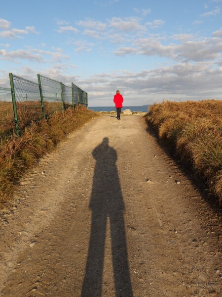 Shadow