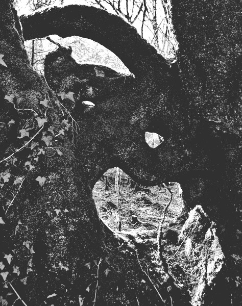 Spy holes B&W