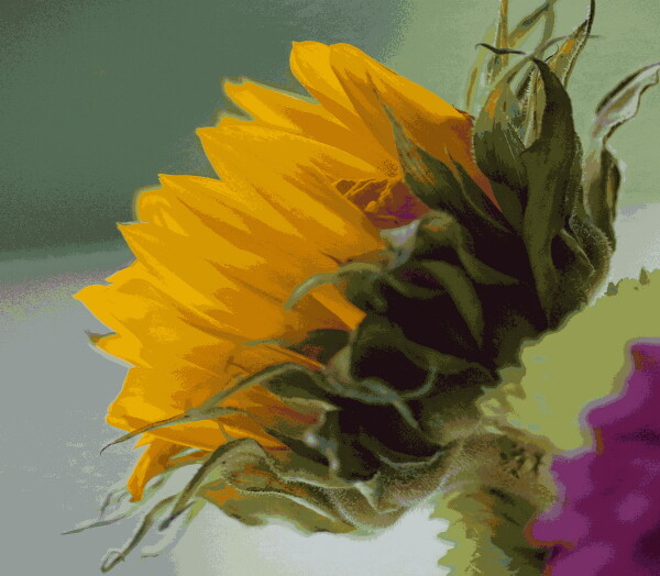 Sunflower rendered in 64 colours