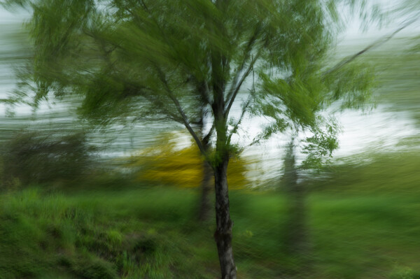 Drive By Shooting