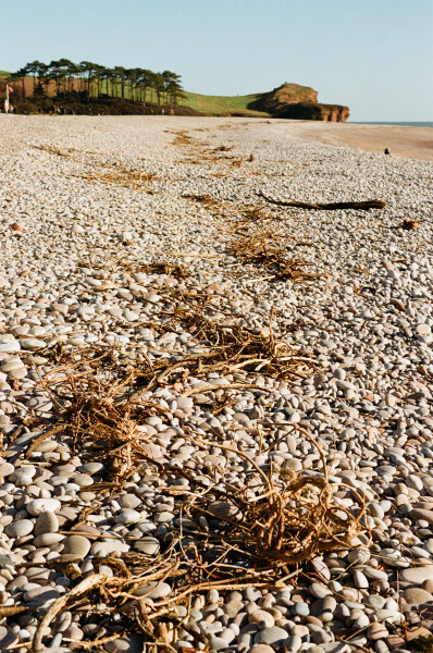 High Tide Mark
