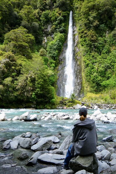 Rain Forest Dreamer
