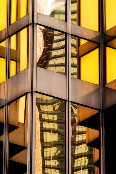 Reflection in the Tower of Gold