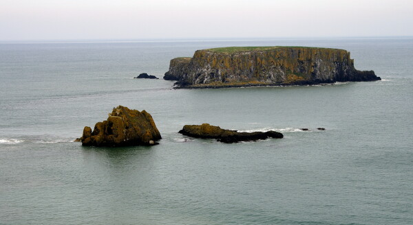 Sheep Island