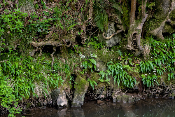 Tales of the Riverbank