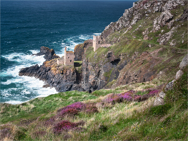The Crown Mines