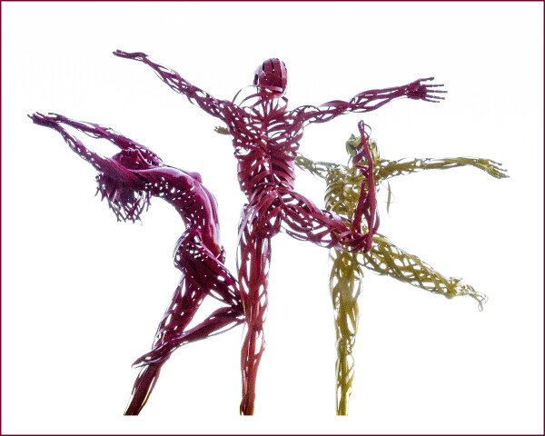 Trio