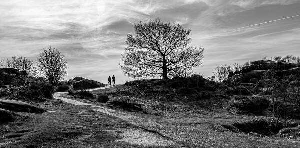 Two lonely people